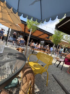 Arvada Beer Garden by null