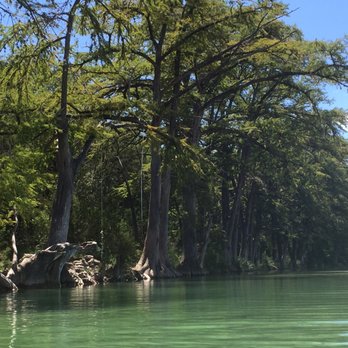 Garner State Park - Kinda has a Louisiana vibe - Parks Near Me - Concan, Texas