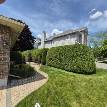 Green Machine Hedge Trimming - Tree Services Near Me - Haley Station, Ontario