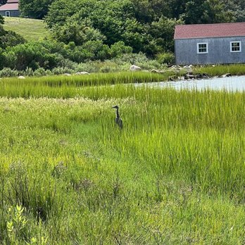 Pond and Beyond Kayak - Rafting/Kayaking Near Me - Block Island, Rhode Island Pond and Beyond Kayak - Rafting/Kayaking Near Me - Block Island, Rhode Island