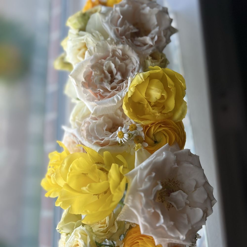 Potomac Floral Wholesale - Florists Near Me - Silver Spring, Maryland