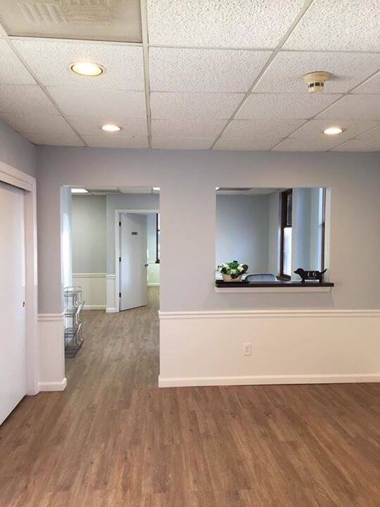 ALL PAWS DERMATOLOGY & ALLERGY Updated August 2024 13 Reviews 329