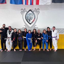 Sabre Jiu Jitsu Academy - Saturdays Competition Class