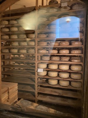 Brazos Valley Cheese by null