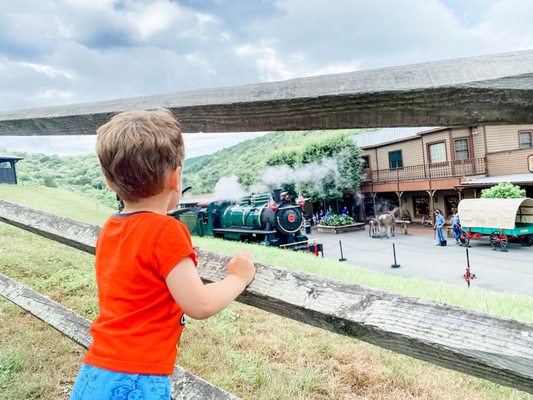 Tweetsie Railroad by null