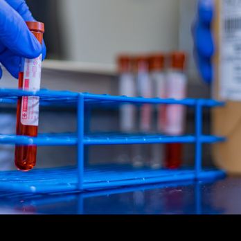 Freedom Plasma - Blood & Plasma Donation Centers Near Me - White Settlement, Texas Freedom Plasma - Blood & Plasma Donation Centers Near Me - White Settlement, Texas