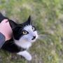Photo of Missoula Animal Services