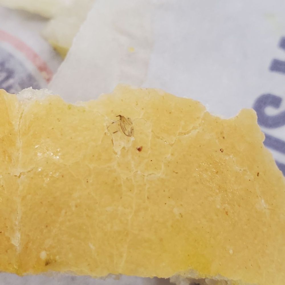 Appears to be a bug baked in the bread. Appears to be a bug baked in the bread.