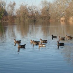 Parco Palustre - Parco