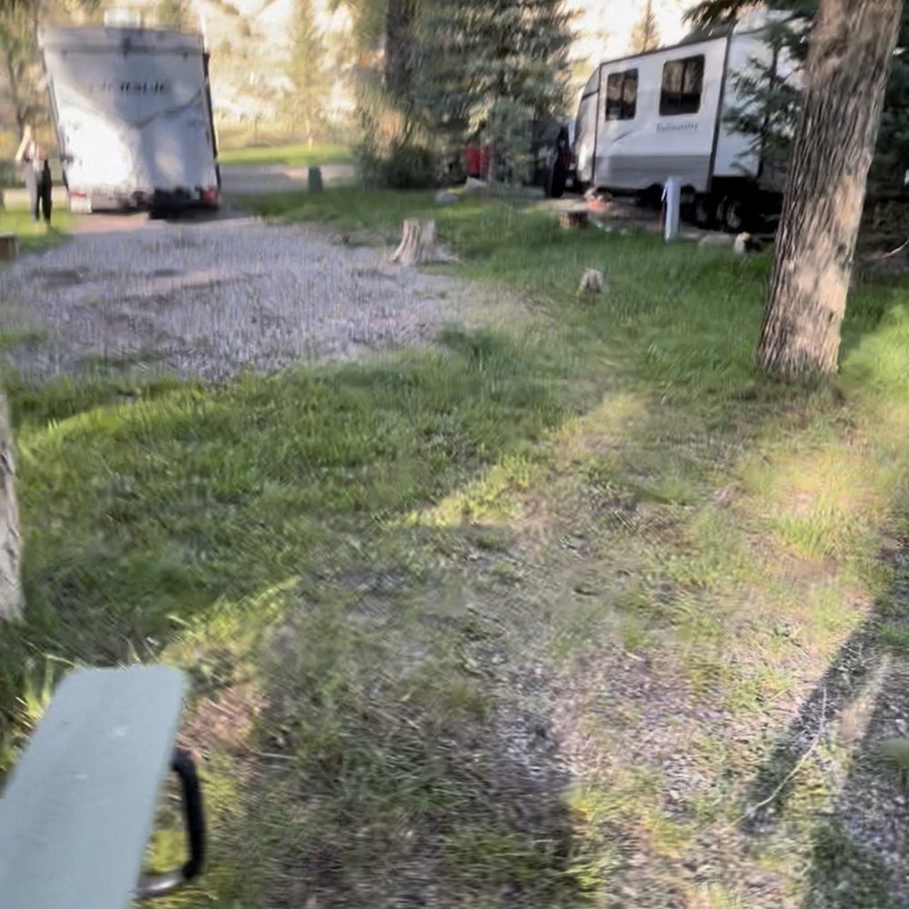Pleasant Valley - Not sure what damage to the grass/weeds he is talking about? - Hotels Near Me - Cimarron, Colorado Pleasant Valley - Not sure what damage to the grass/weeds he is talking about? - Hotels Near Me - Cimarron, Colorado