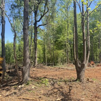Weaver Land Services - Excavation Services Near Me - Hull, Georgia Weaver Land Services - Excavation Services Near Me - Hull, Georgia