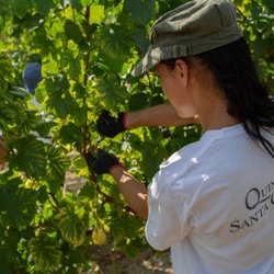 Quinta de Santa Cristina