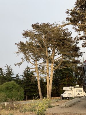 Sunset State Beach by null