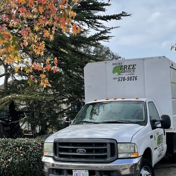 Nick's Tree Service - Tree care in the 805! - Tree Services Near Me
