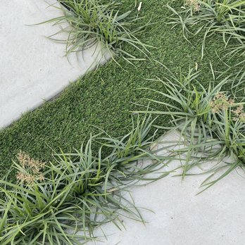 Happy Tree Landscaping - This is what are backyard looks like after this company laid concrete pads and turf in our back yard. - Landscaping Near Me - Mesa, Arizona