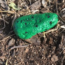 Paradise Cove Park - Thanks PHX Hidden Rocks! Cool find!