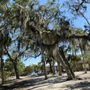 Photo of Emerson Point Park