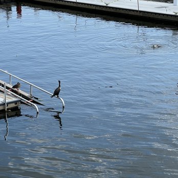 The Wharf DC - Locals... - Landmarks & Historical Buildings Near Me - Washington, DC, District of Columbia