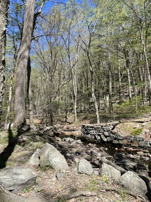 Harriman State Park by null
