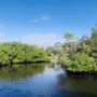 Delaware Scrub Natural Area
