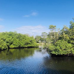 Delaware Scrub Natural Area