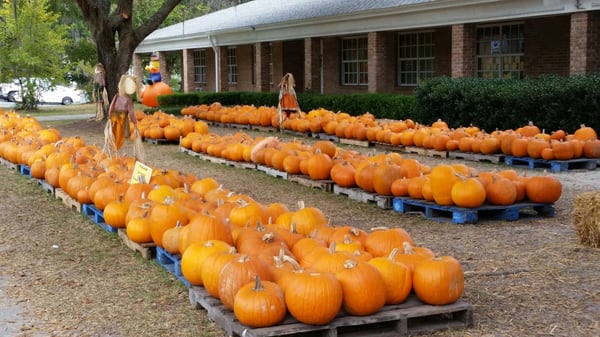 First United Methodist Church