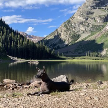 Elite K-9 Training - Chimallī - Pet Training Near Me - Castle Rock, Colorado Elite K-9 Training - Chimallī - Pet Training Near Me - Castle Rock, Colorado