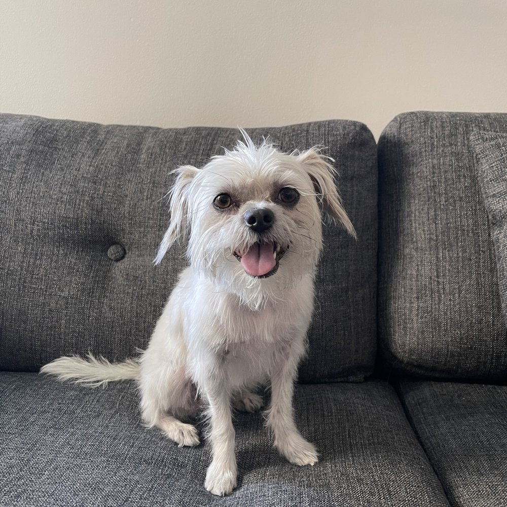 Coco Coco