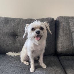 Coco