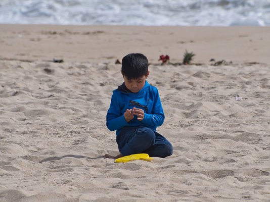 Ocean Beach New Jersey by null