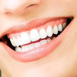 Lands End Dental