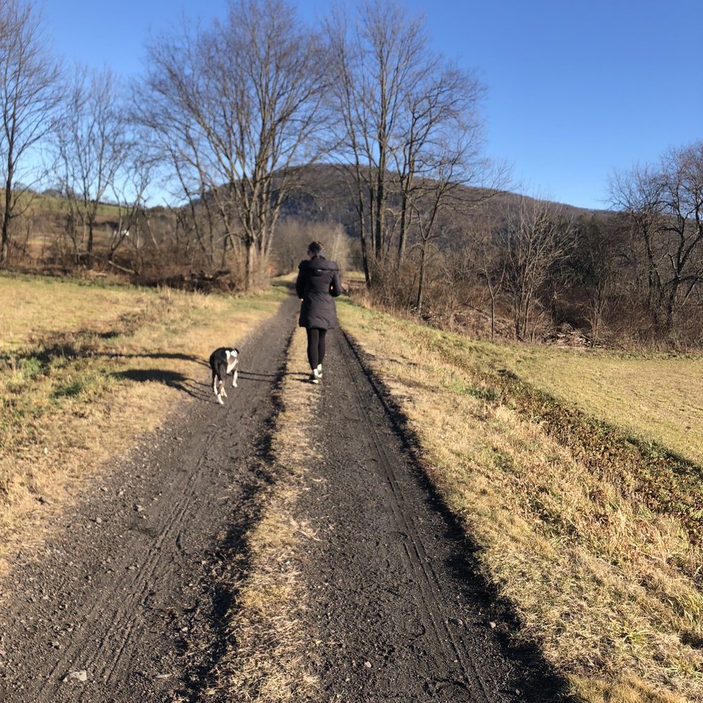 Catskill Scenic Trail - Trail - Hiking Near Me Catskill Scenic Trail - Trail - Hiking Near Me