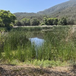 Wilderness Gardens Preserve - Pond