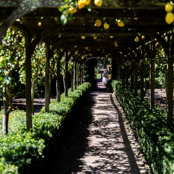 Lotusland - Lotusland - Botanical Gardens Near Me - Santa Barbara, California