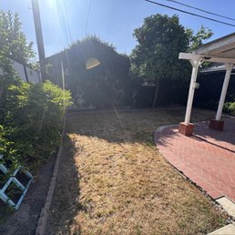 Before