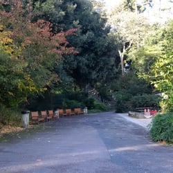 Le Jardin des Plantes - Intérieur du jardin.