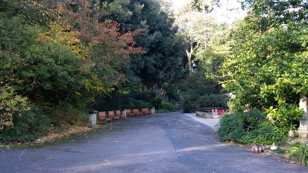 Le Jardin des Plantes
