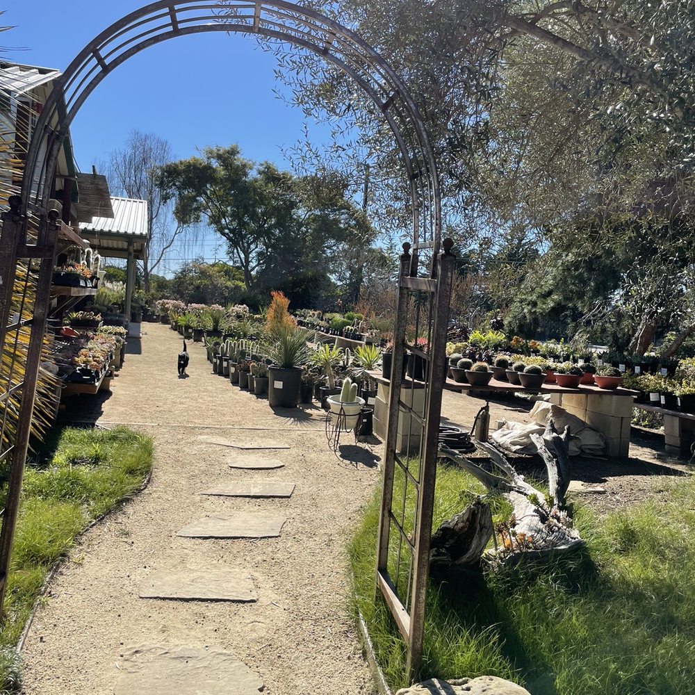 Seaside Gardens - Succulent section - Nurseries & Gardening Near Me - Carpinteria, California