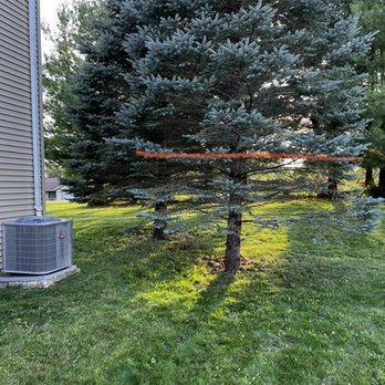 Frontyard Fades - before tree trimming - Landscaping Near Me