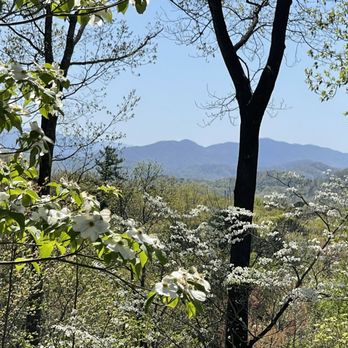 Get Farther Away - Vacation Rentals Near Me - Newport, Tennessee Get Farther Away - Vacation Rentals Near Me - Newport, Tennessee