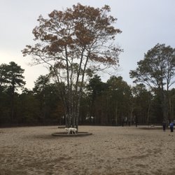 Mashpee Dog Park - Large Dog Pen