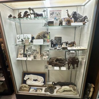 International Cryptozoology Museum - Cryptids - Museums Near Me - Bangor, Maine International Cryptozoology Museum - Cryptids - Museums Near Me - Bangor, Maine