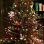 Fish River Christmas Trees
