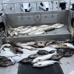 Manns Charter Service - Day 1