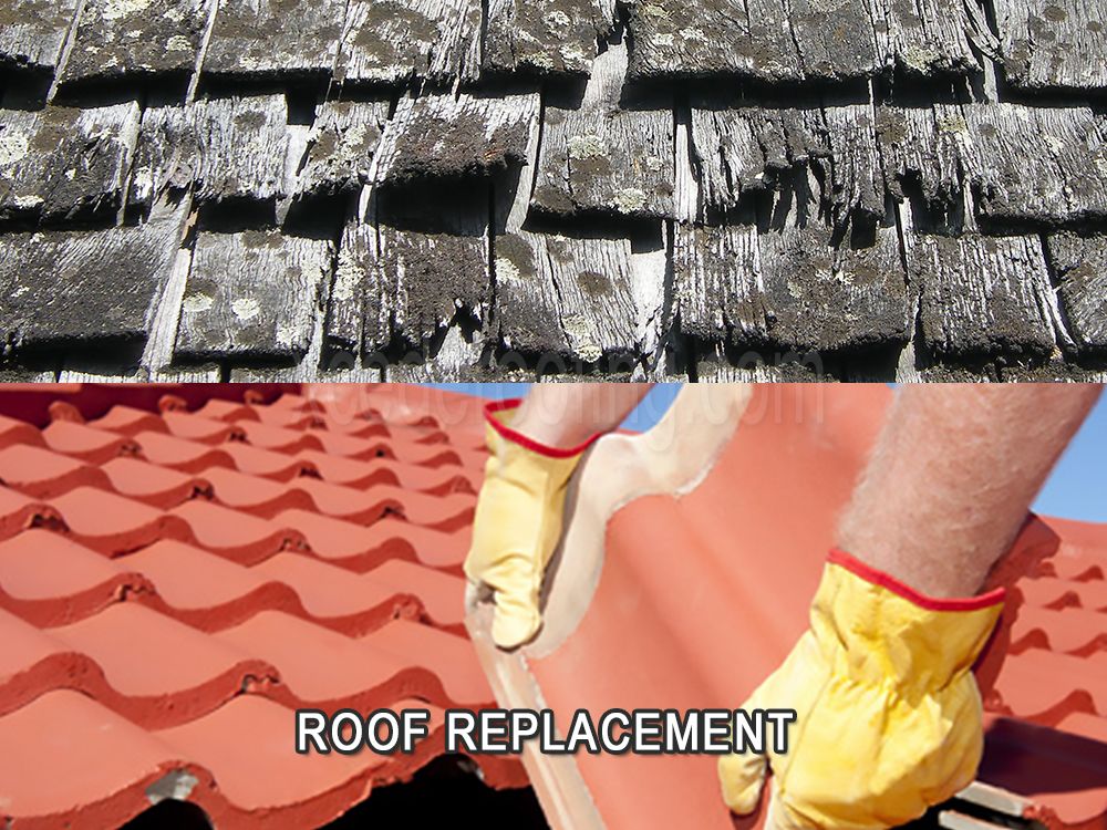 Slide of Ed's Roofing