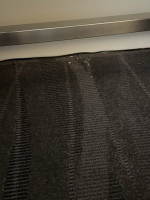 Archer Hotel Old Town Alexandria by null