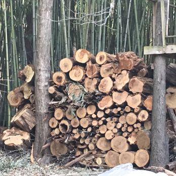 Cortes Landscape - Neatly stacked our cut-up dead trees.  This is half of it. - Landscaping Near Me - Alexandria, Virginia