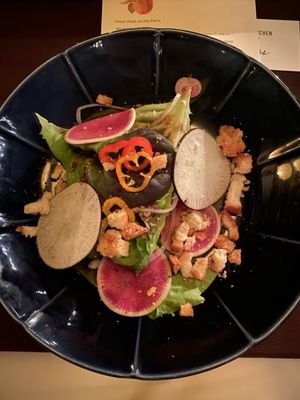 Living Kitchen Farm and Dairy by null