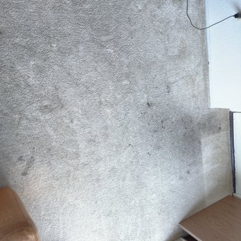Ultimate Carpet Cleaners - Carpet Cleaning Near Me - Hayward, California