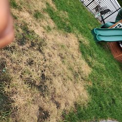 TruGreen Lawn Care
